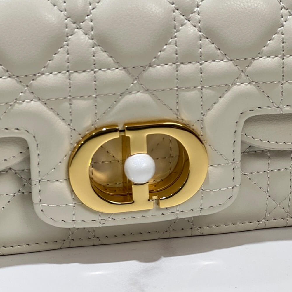 Small D10r Jolie handbag
